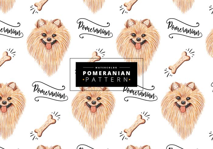 700x490 Pomeranian Free Vector Art