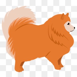 260x260 Pomeranian Png, Vectors, Psd, And Clipart For Free Download Pngtree