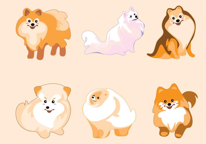 700x490 Pomeranian Vector
