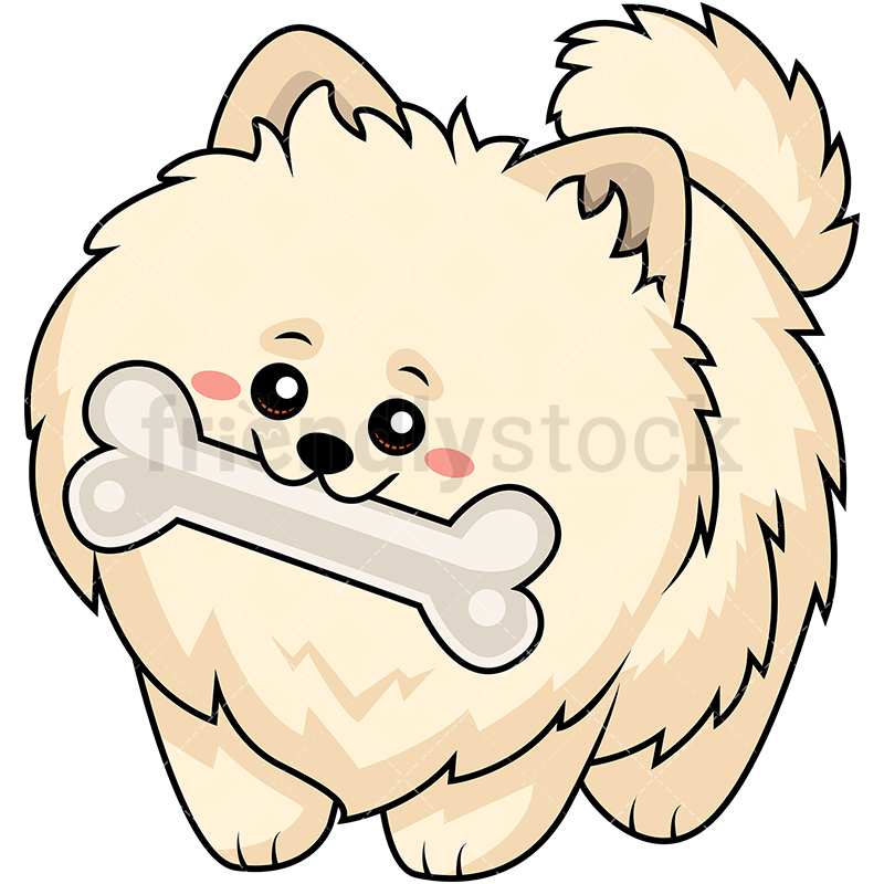 800x800 Sweet Pomeranian Dog Chewing A Big Bone Cartoon Vector Clipart