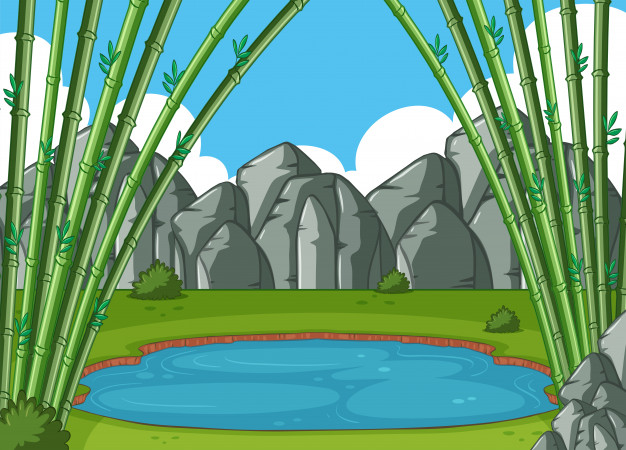 626x450 Scene With Bamboo Trees By The Pond Vector Premium Download