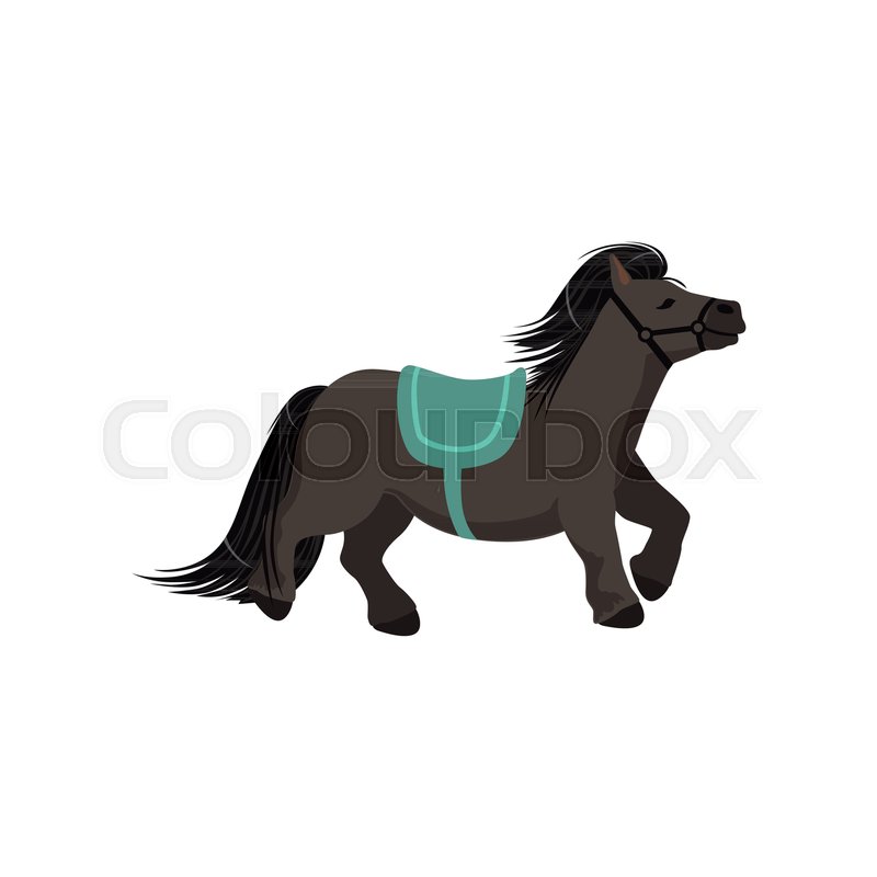 800x800 Cute Dark Grey Pony, Thoroughbred Horse Vector Illustration