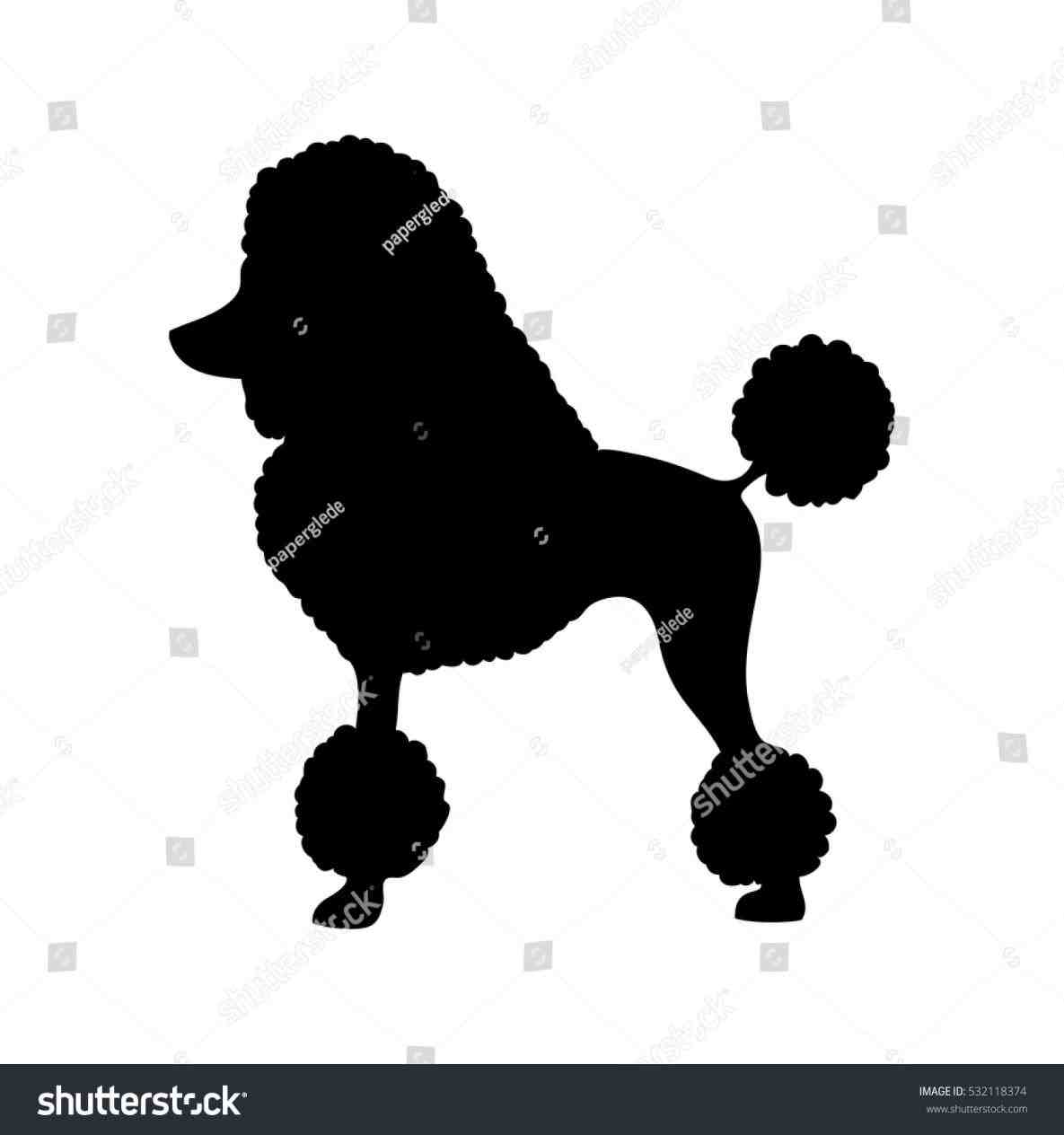 1185x1264 Poodle Skirt Dog Silhouette Vector Illustration Stock Mini