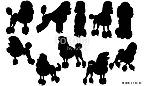 500x300 Poodle Dog Silhouette Vector Graphics Stock Image And Royalty