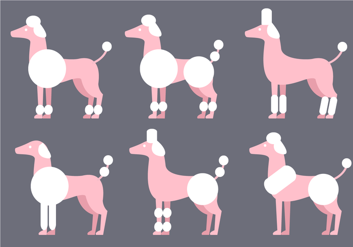 700x490 Poodle Vector