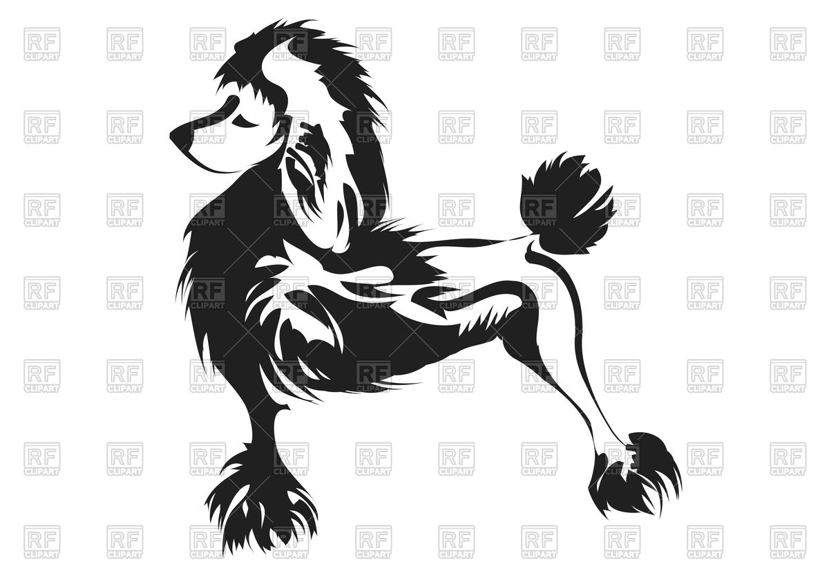 1200x849 Silhouette Of Poodle Vector Image Vector Artwork Of Plants And