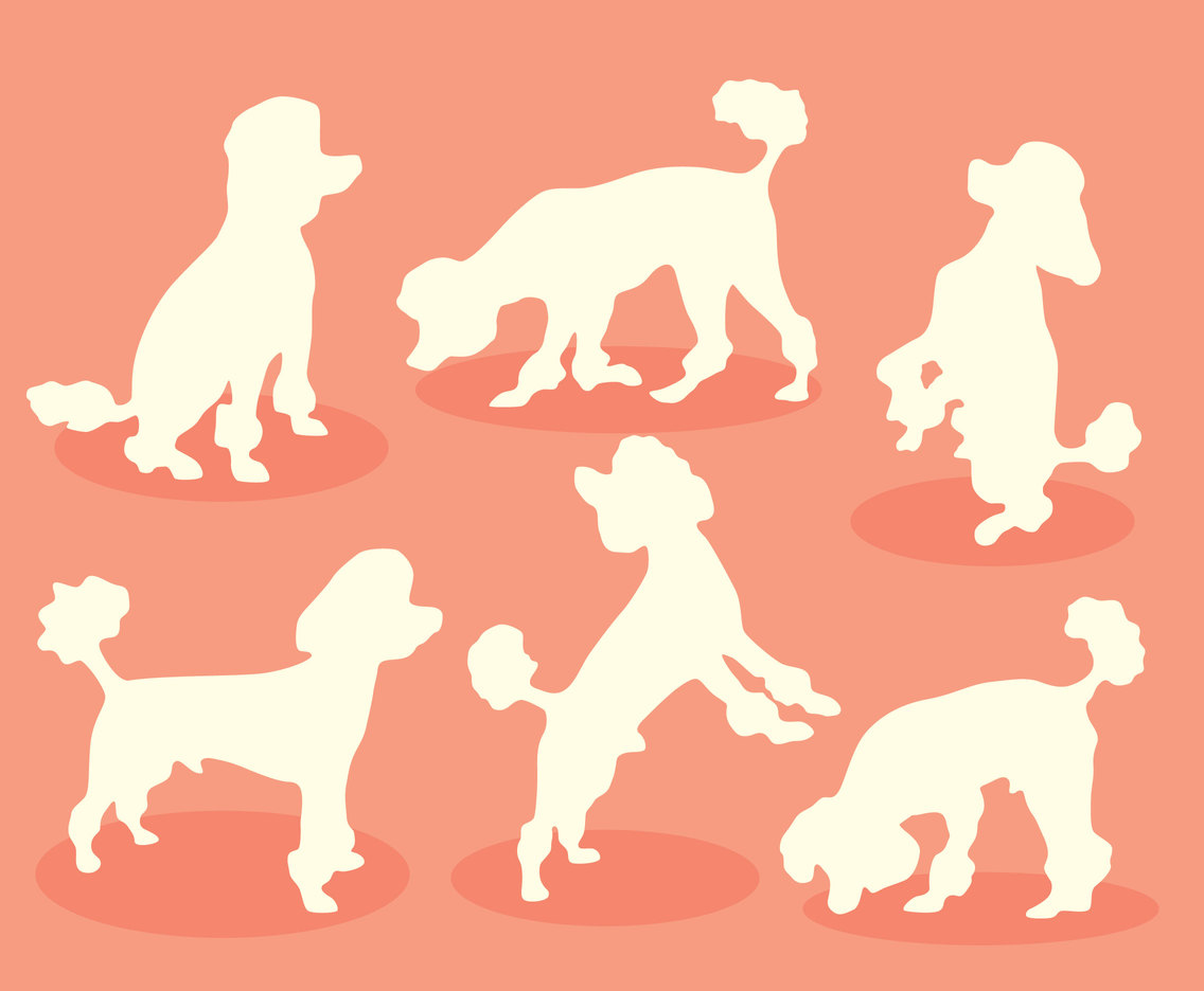 1136x936 White Silhouette Poodle Vector Vector Art Amp Graphics