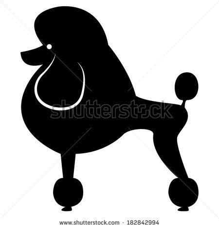 450x470 Toy Poodle Vector