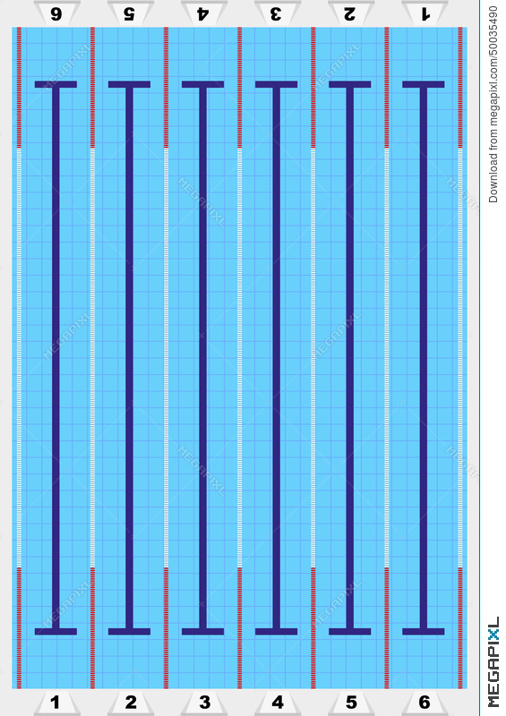 565x800 Sport Swimming Pool. Vector Illustration 50035490