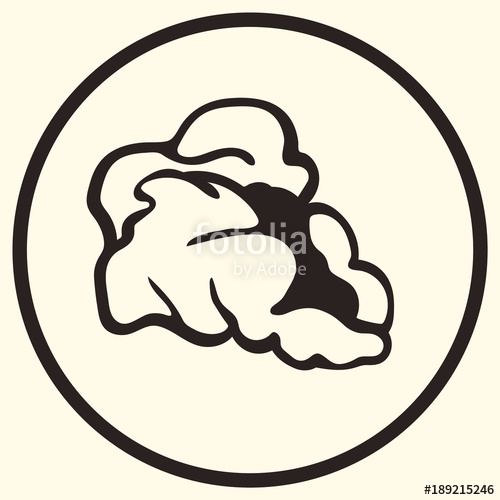 500x500 Pop Corn Kernels Line Art Vector Isolated Icon For Cinema Apps And