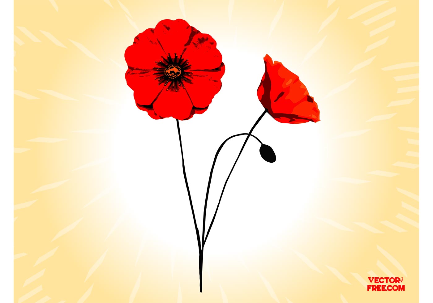 1400x980 Poppy Vectors