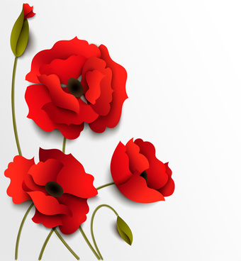 340x368 Poppy Free Vector Download (48 Free Vector) For Commercial Use
