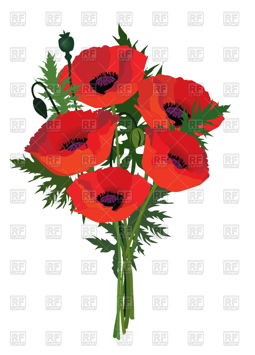 861x1200 Red Flower Bouquet With Poppy Vector Image Vector Artwork Of
