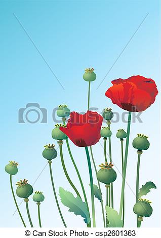 318x470 Vector Illustration With Two Poppy .
