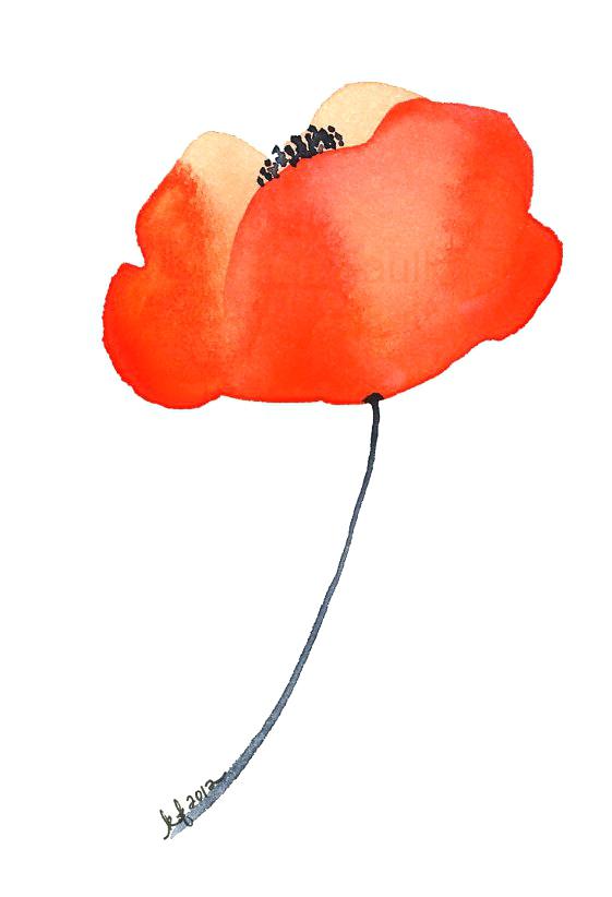 561x822 Watercolor Poppy Vector Watercolor Poppies Lagoonapools.co