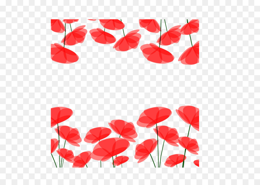 900x640 Flower Color Poppy