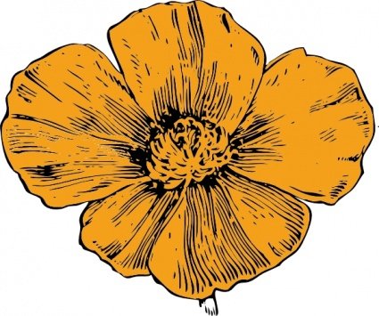 425x355 Free California Poppy Psd Files, Vectors Amp Graphics