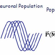 179x179 Pdf) Neuronal Population Vector