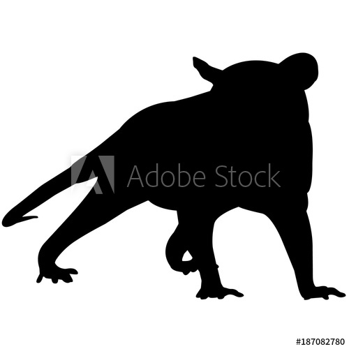 500x500 Possum Silhouette Vector Graphics