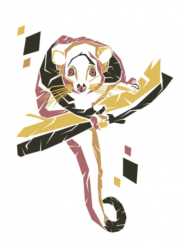 626x832 Ringtail Possum Pop Art Vector Premium Download