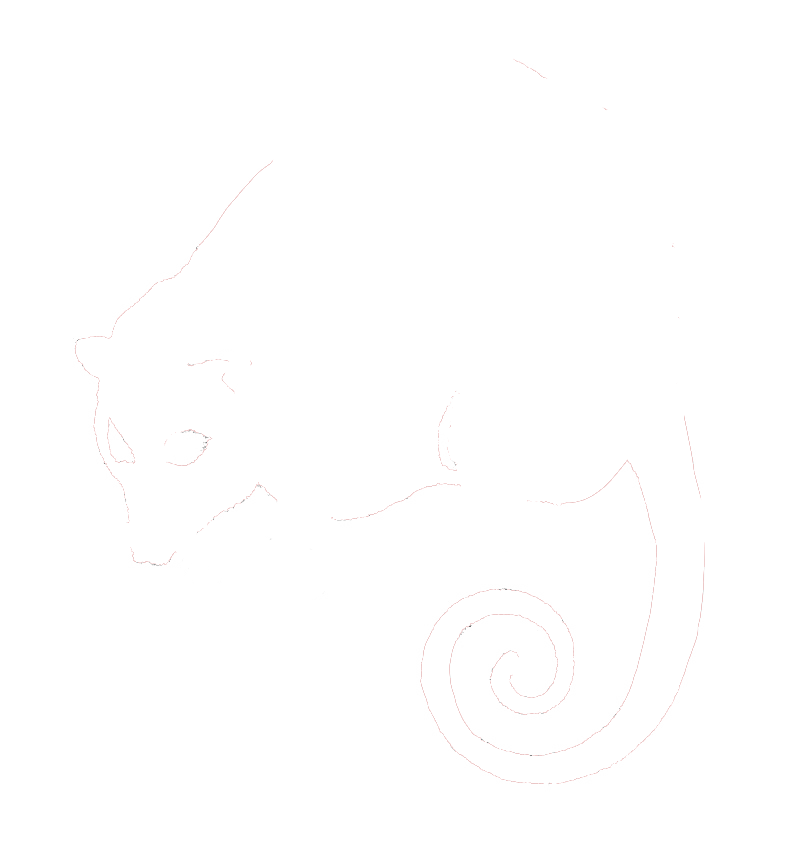 791x851 Surveyopossum