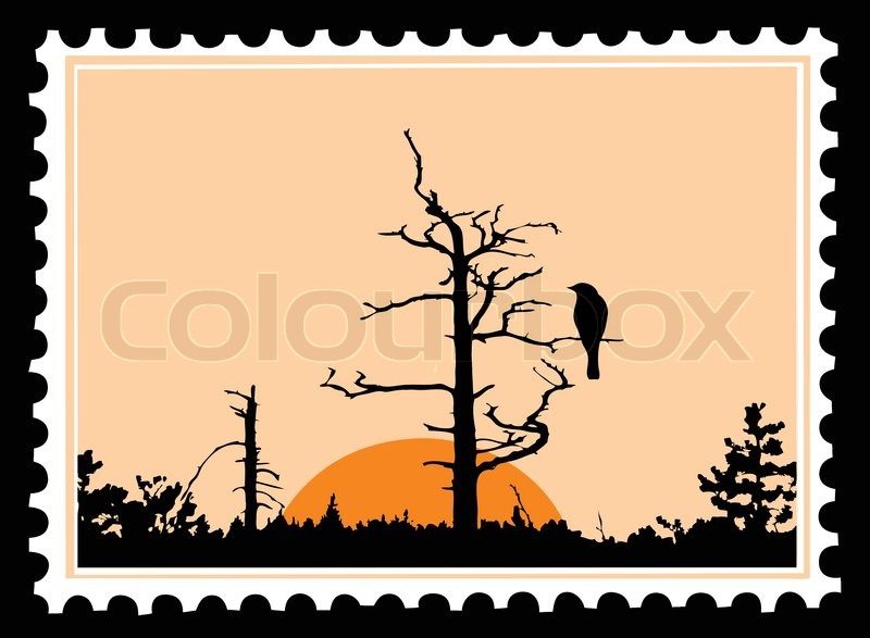 800x587 Vector Silhouette Of The Bird On Tree On Postage Stamps Stock