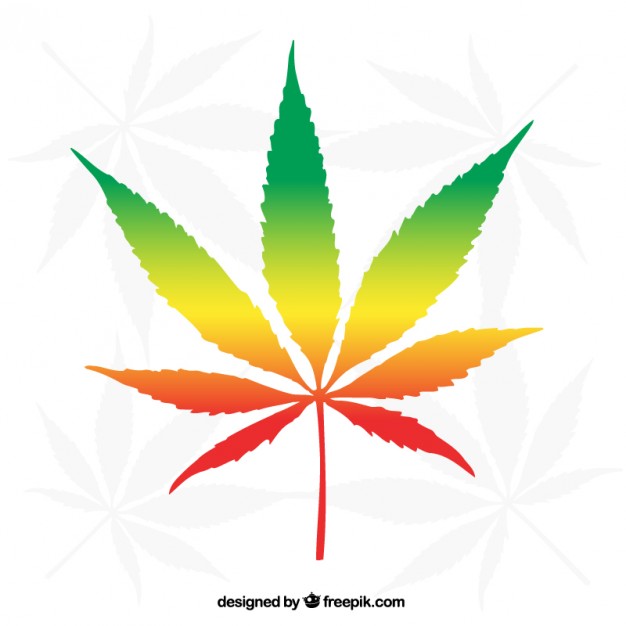 626x626 Marijuana Leaf Vectors, Photos And Psd Files Free Download
