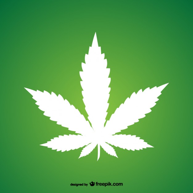 626x626 Marijuana Leaf Vector Free Download