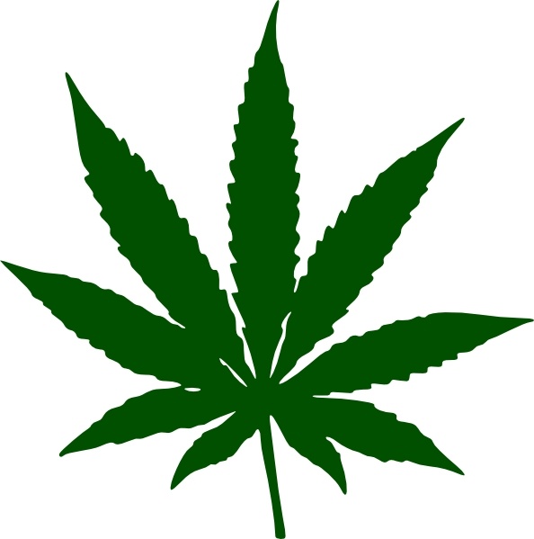 594x599 Marijuana Vector Free Vector Download (5 Free Vector) For