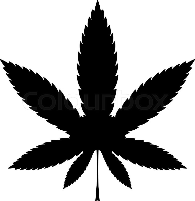 777x800 Cannabis Or Marijuana Leaf Black Vector Icon, Illustration Stock