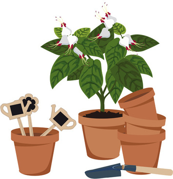 355x368 Flower Pots Vector Free Vector Download (10,831 Free Vector) For