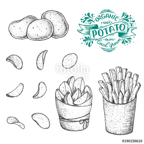 500x500 Potato Vector Illustration. Raw Potato, French Fries, Rustic