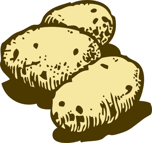 594x557 Potatoes Clip Art Free Vector In Open Office Drawing Svg ( .svg