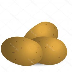 300x300 Whole Vegetable Sweet Potato Vector Lazttweet