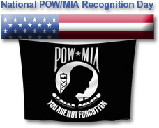 228x184 Pow Mia Vector