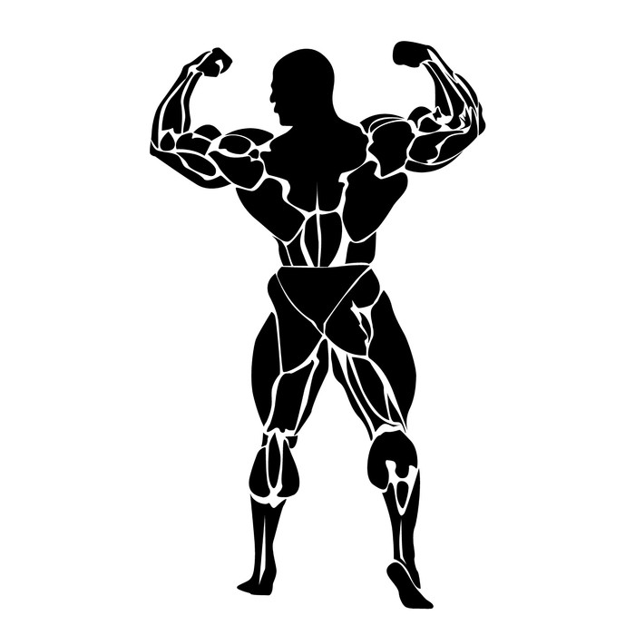 Powerlifting Vector at GetDrawings | Free download