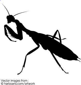 Praying Mantis Vector at GetDrawings | Free download