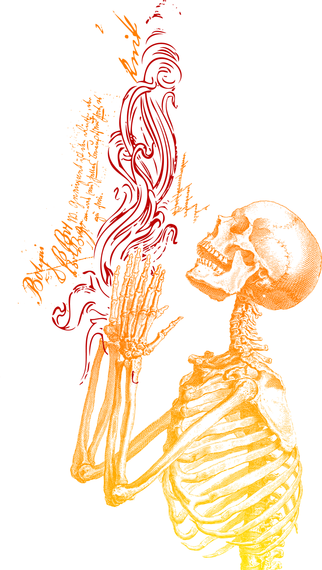 322x570 Praying Mantis