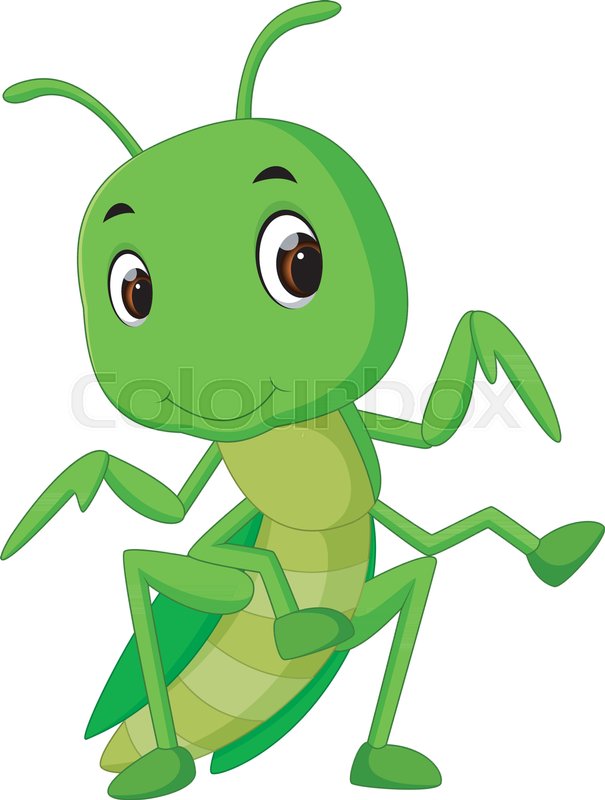 605x800 Praying Mantis Cartoon Stock Vector Colourbox