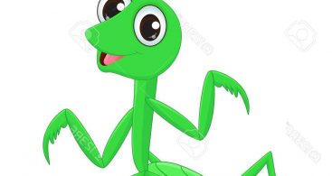 367x195 Praying Mantis Vector Free Vector Art, Images, Graphics Amp Clipart