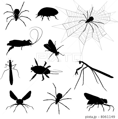 450x453 Praying Mantis Vectors