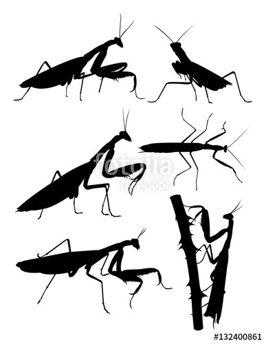 387x500 Praying Mantis Animal Silhouette. Good Use For Symbol, Logo, Web