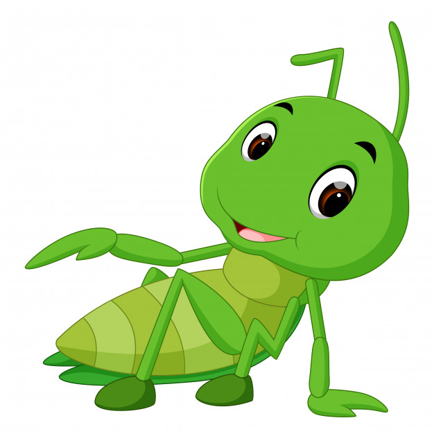 626x626 Praying Mantis Cartoon Vector Premium Download