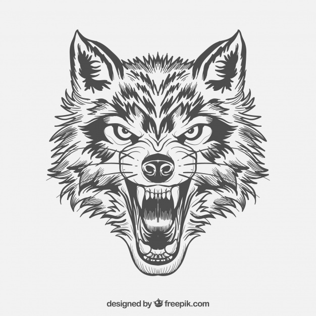626x626 Predator Vectors, Photos And Psd Files Free Download