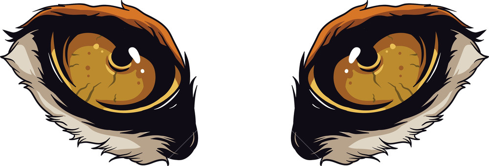 1000x339 Vector Predator Eyes Royalty Free Stock Image