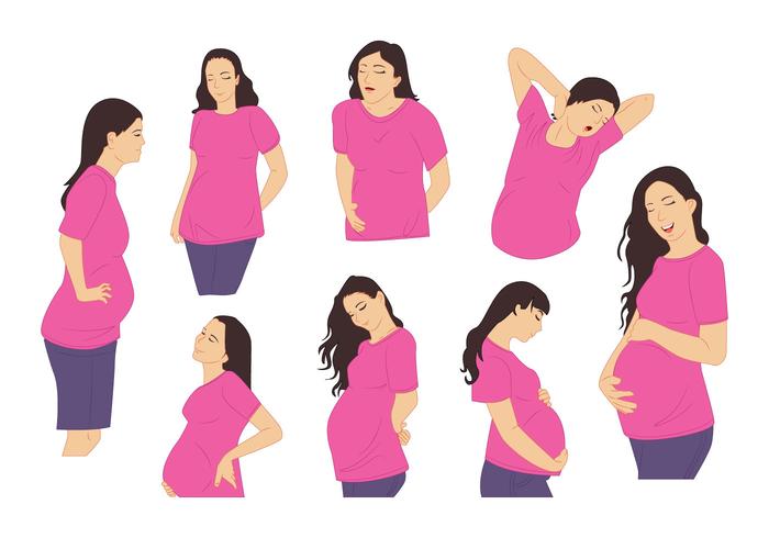 700x490 Pregnant Free Vector Art