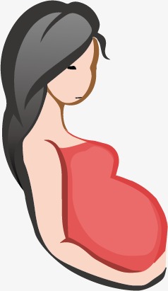 238x411 Pregnant Women Vector, Graphic Design, Decorative Pattern