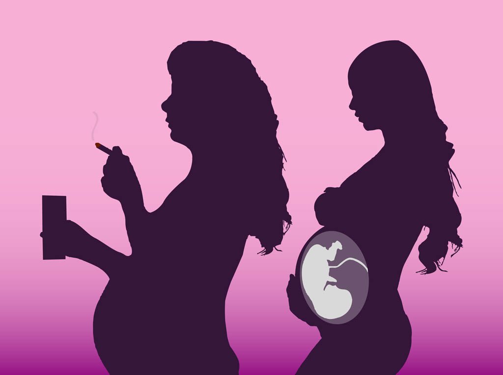 1024x765 Pregnant Women Vector Vector Art Amp Graphics