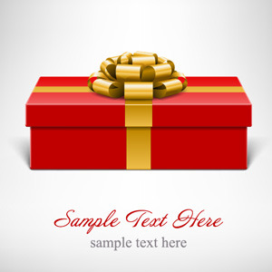 300x300 Vector Present Box