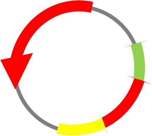 517x462 How To Design The Best Vector To Produce Recombinant Proteins